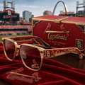 PREMIUM SLVC UNISEX SUNGLASSES NPL
